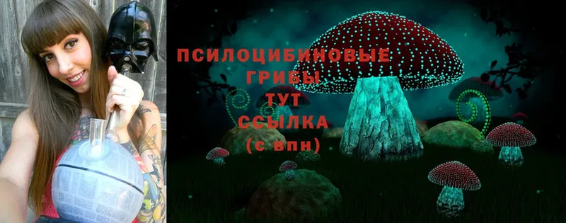 где продают   ссылка на мегу онион  Псилоцибиновые грибы MAGIC MUSHROOMS  Борзя 